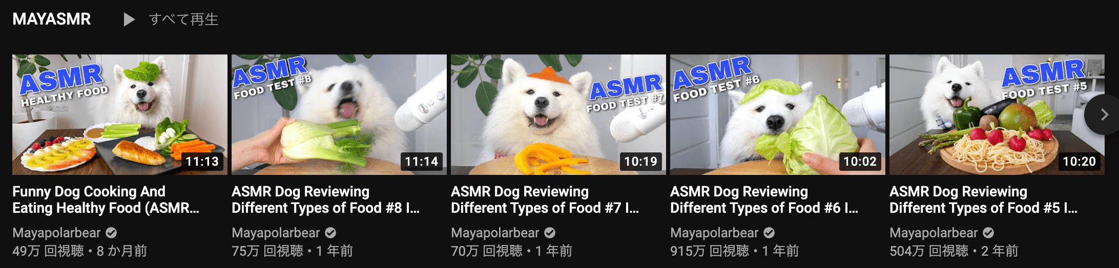 youtube_dog_foreign asmr