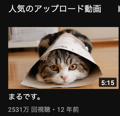 youtube_cat_maru popular