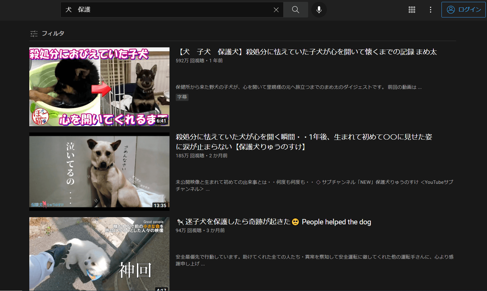 youtube-dog-protect